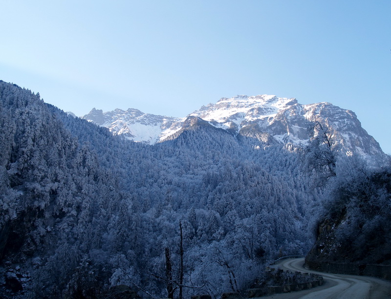 20080109_8cb2d3d59f5b89ad7226e8ZxUfttqTbo.jpg