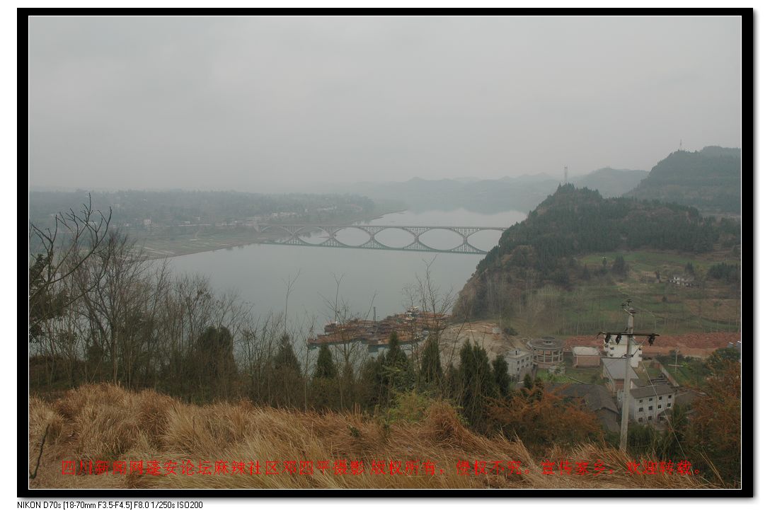 2010217 172.jpg