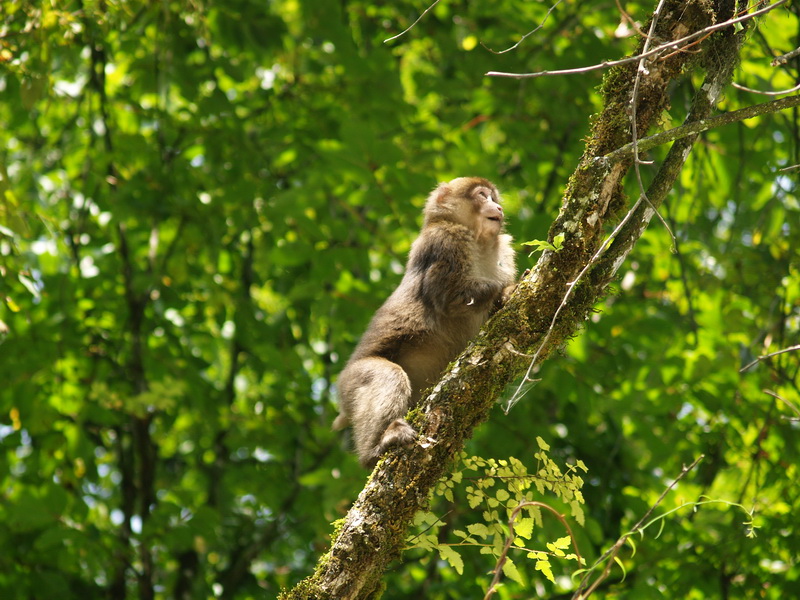 20080102_59a909561c6f1b810859yHMxYHRMu6Pe.jpg