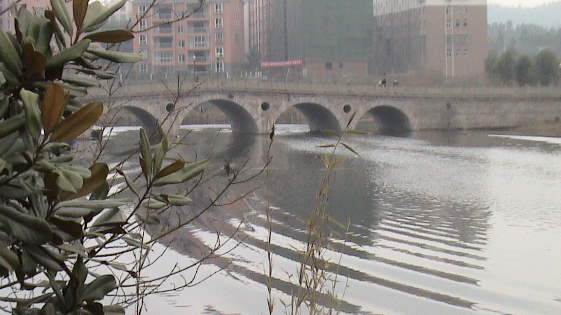 DSC00439.JPG