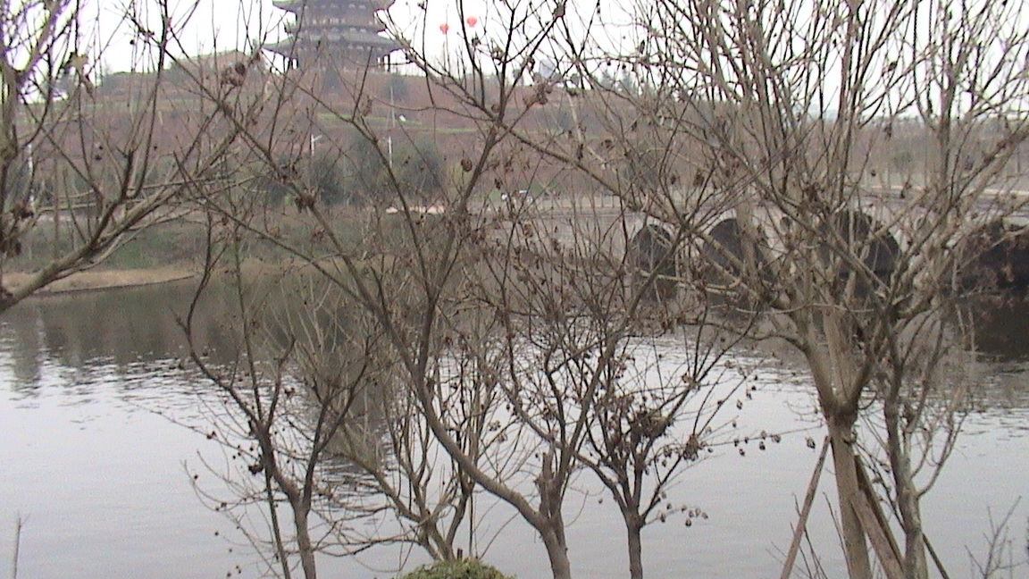 DSC00454.JPG
