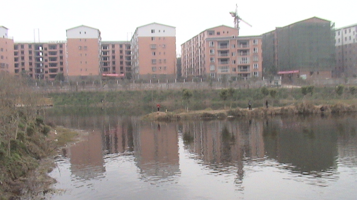 DSC00455.JPG