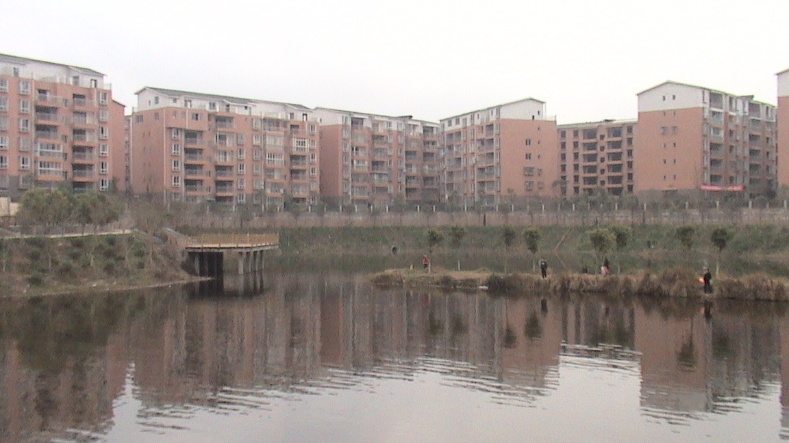 DSC00459.JPG