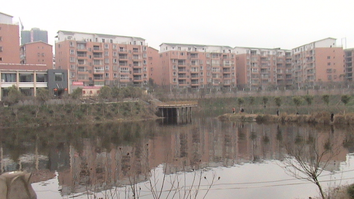 DSC00461.JPG