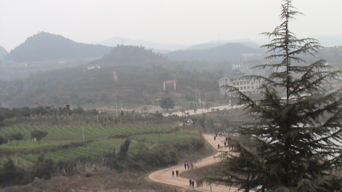 DSC00483.JPG