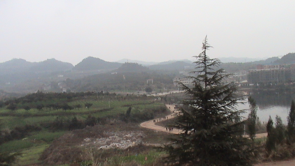 DSC00484.JPG