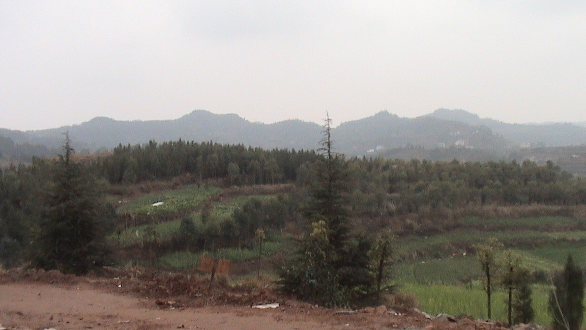 DSC00477.JPG
