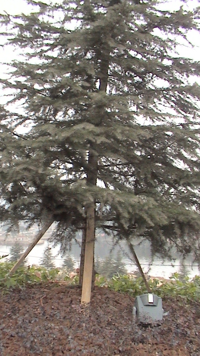 DSC00512.jpg