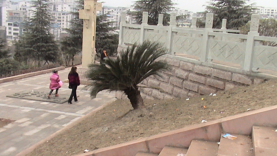 DSC00511.JPG