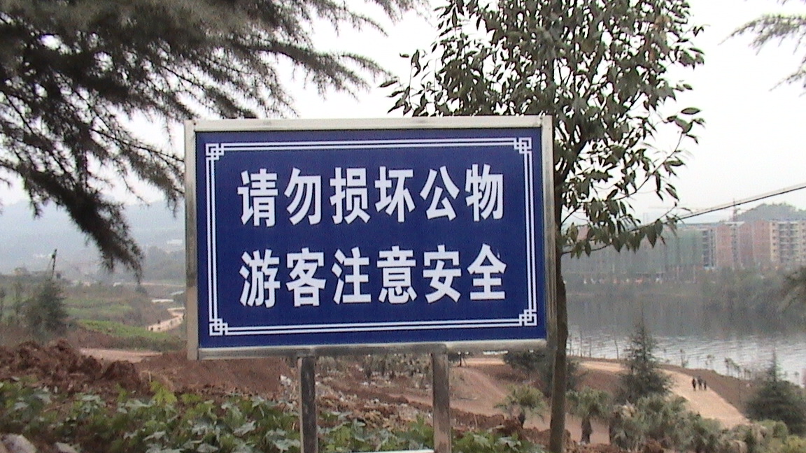 DSC00513.JPG