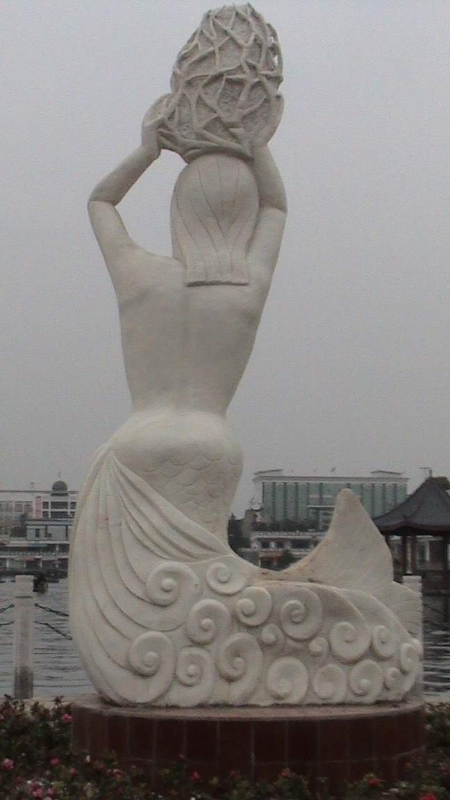 DSC00529.jpg