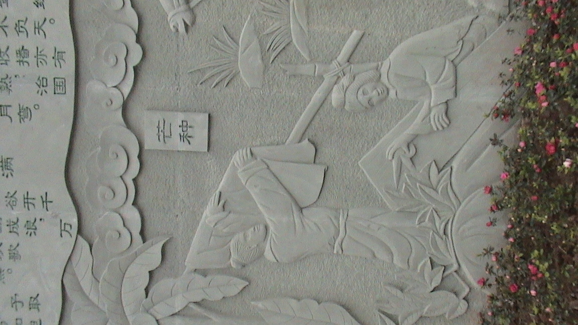 DSC00546.JPG
