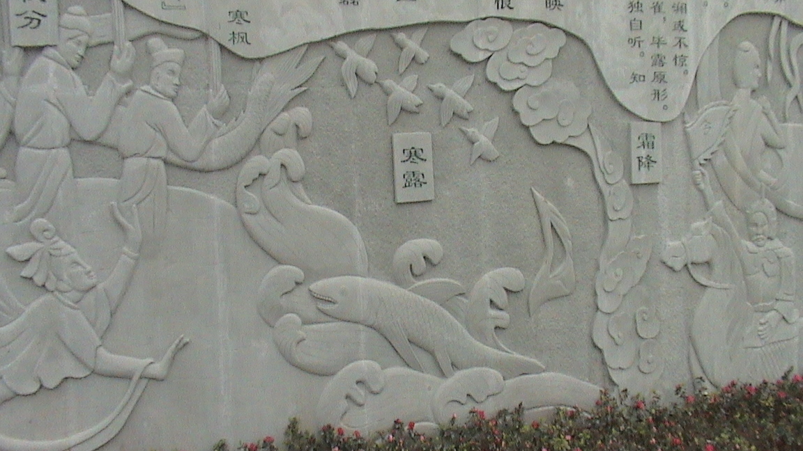 DSC00553.JPG