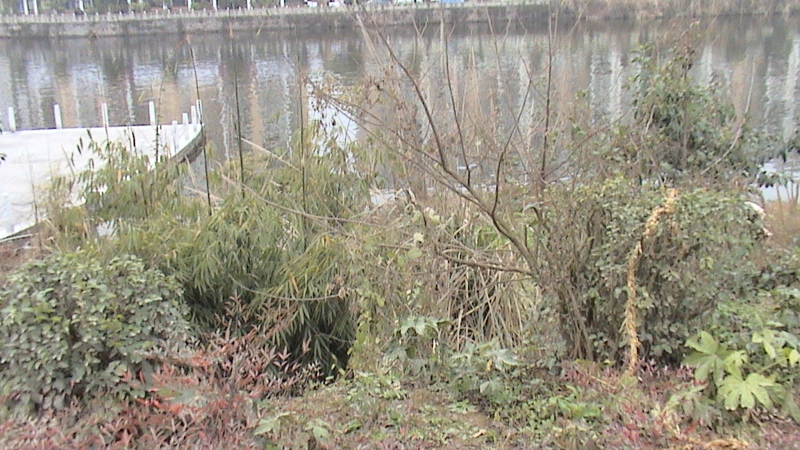 DSC00561.JPG