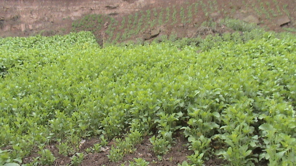 DSC00577.JPG