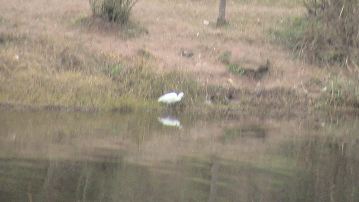 DSC00586.JPG