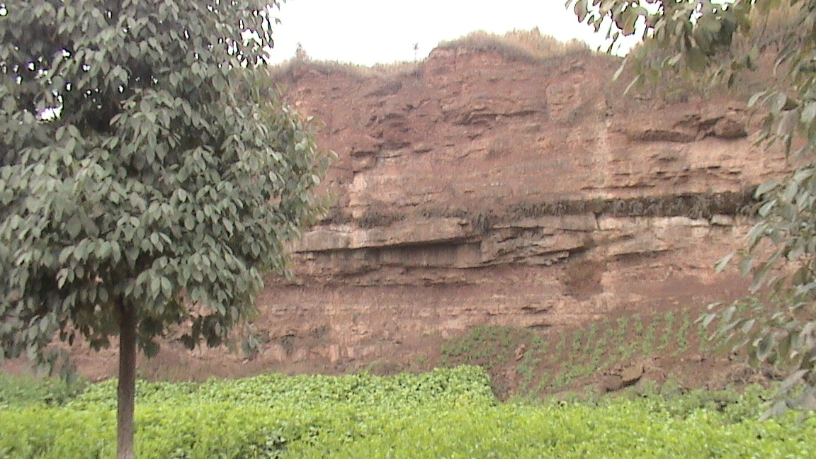 DSC00576.JPG