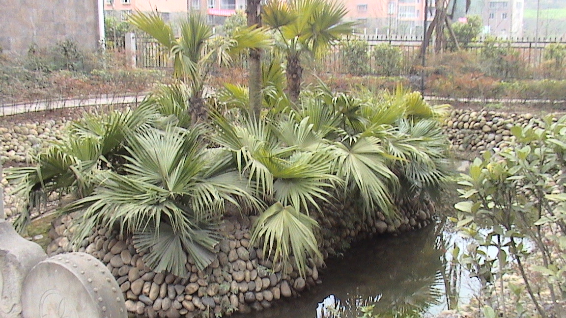 DSC00610.JPG