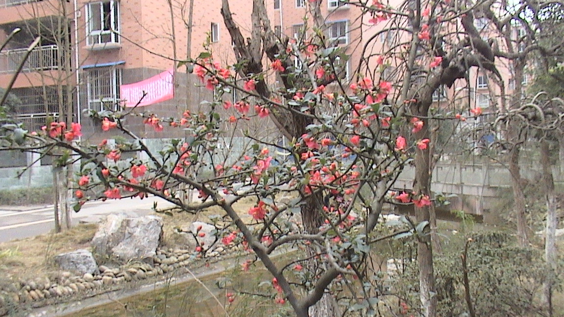 DSC00607.JPG