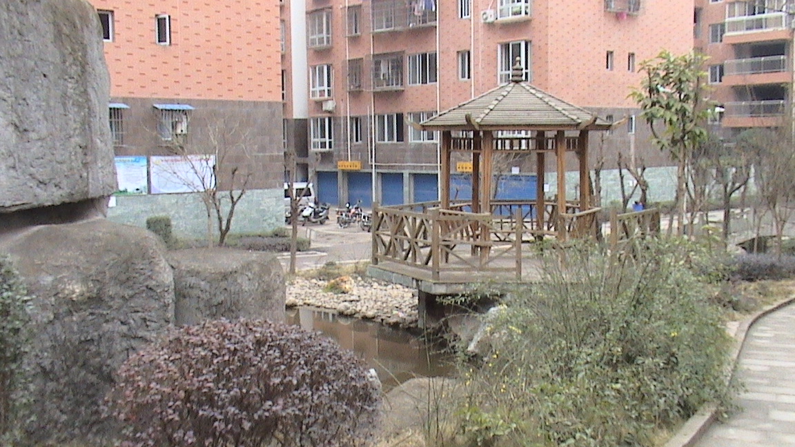 DSC00601.JPG