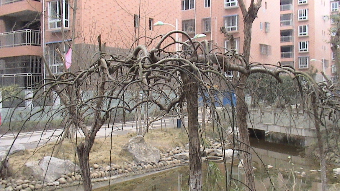 DSC00608.JPG