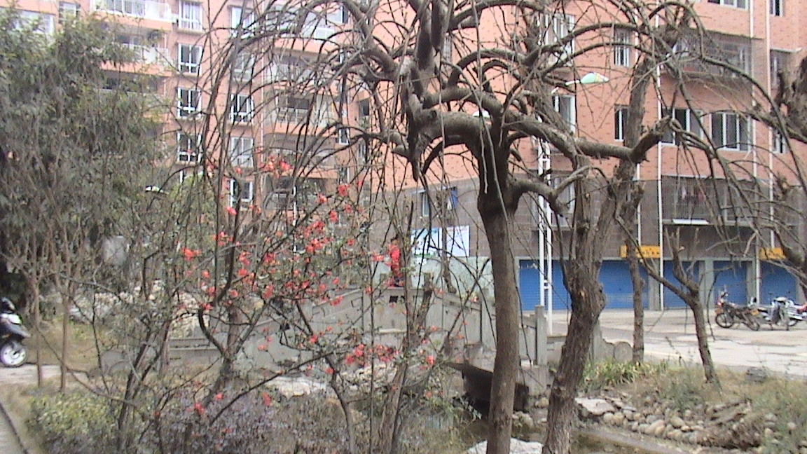 DSC00609.JPG