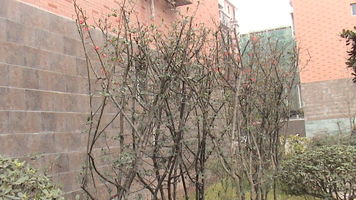 DSC00625.JPG