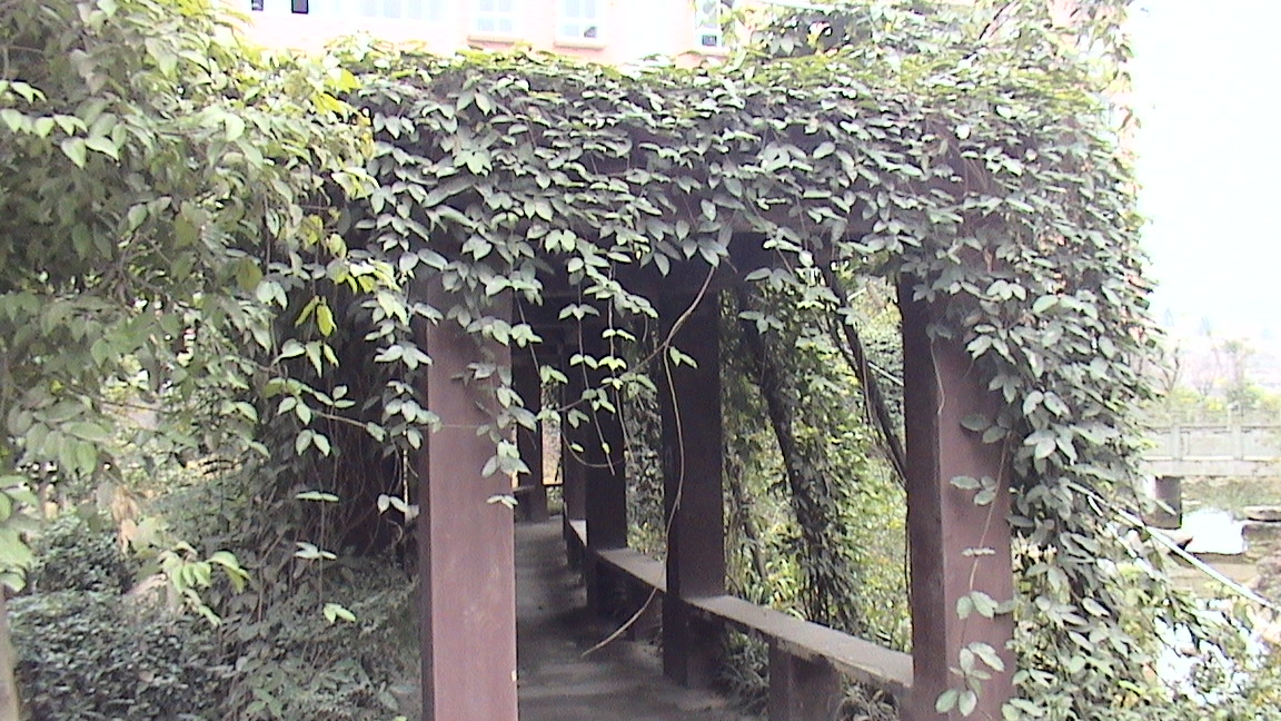 DSC00629.JPG