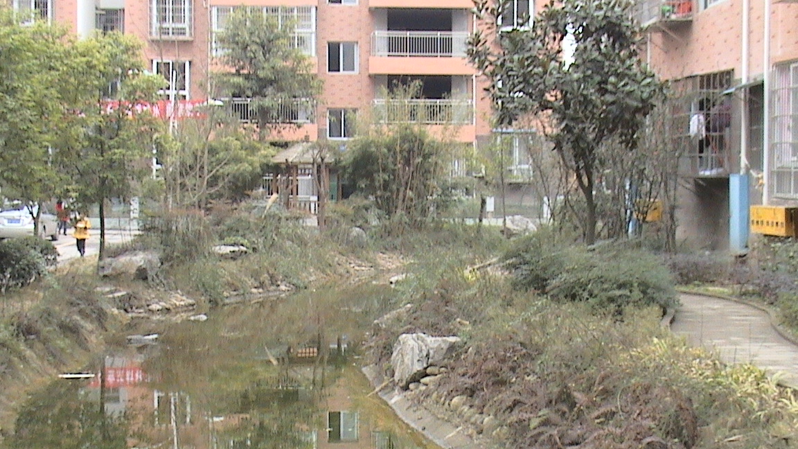 DSC00618.JPG