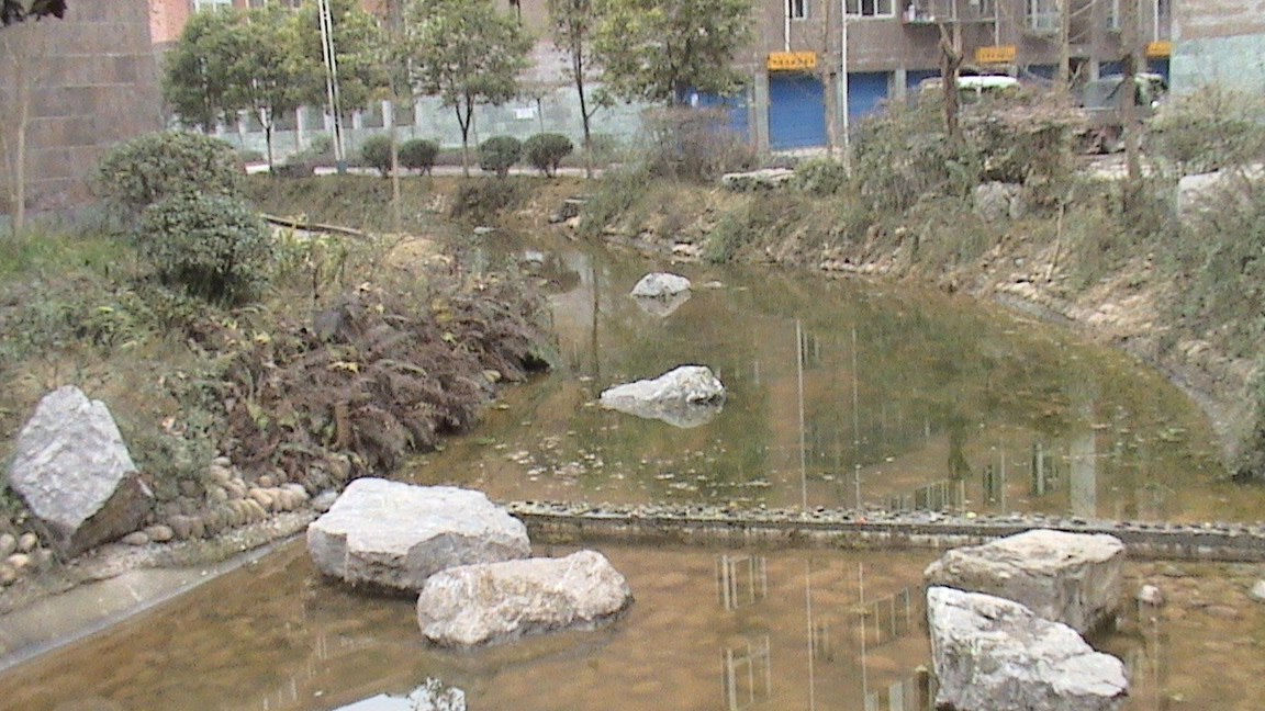 DSC00628.JPG