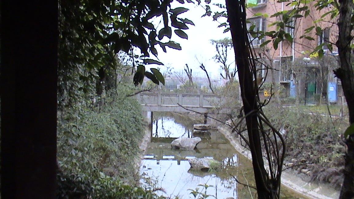 DSC00631.JPG