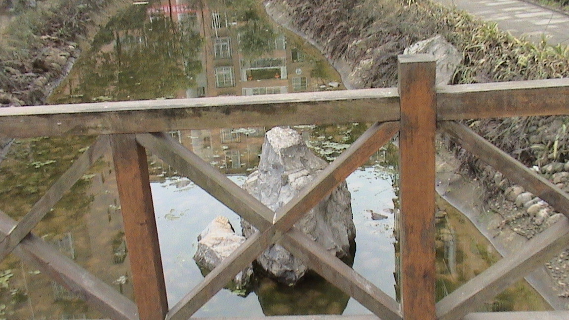 DSC00619.JPG