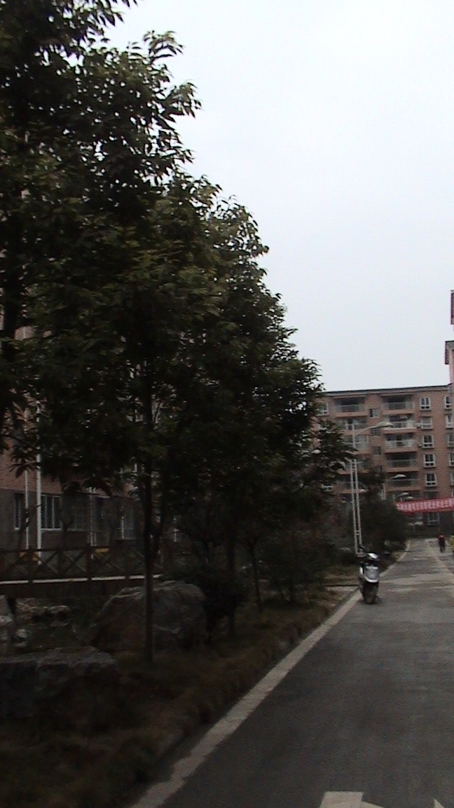 DSC00642.jpg