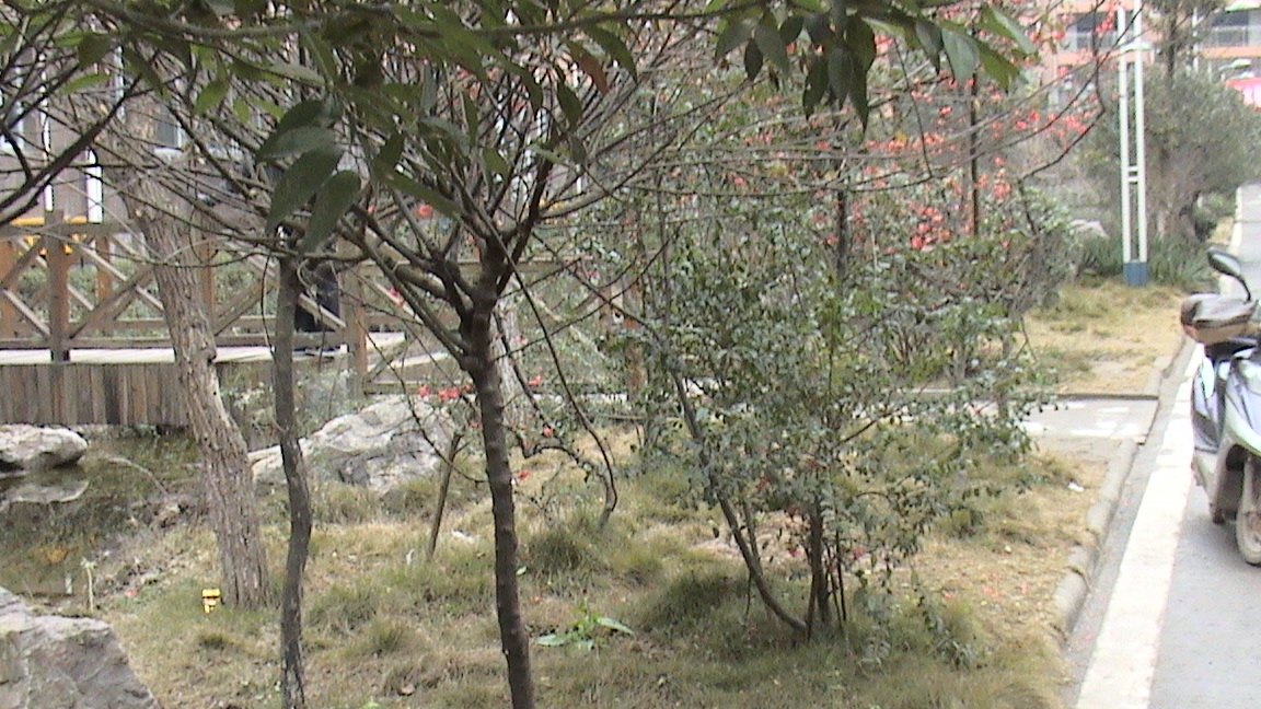 DSC00645.JPG