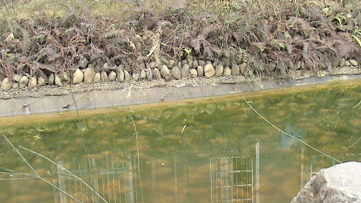 DSC00644.JPG