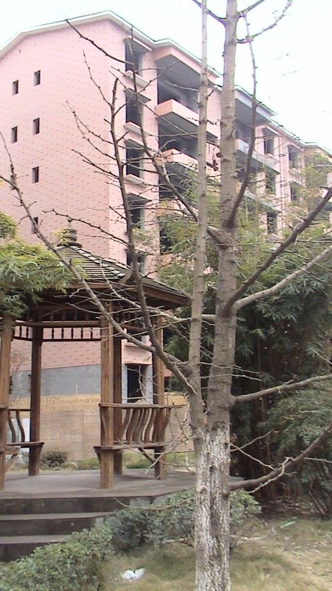 DSC00640.jpg