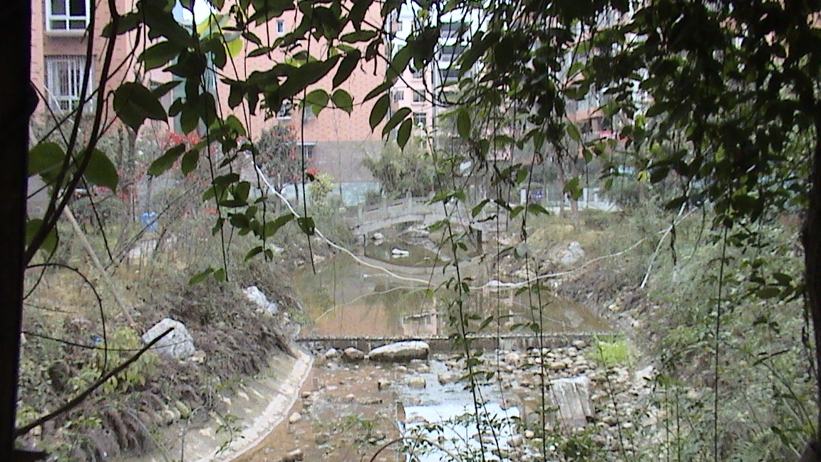 DSC00635.JPG