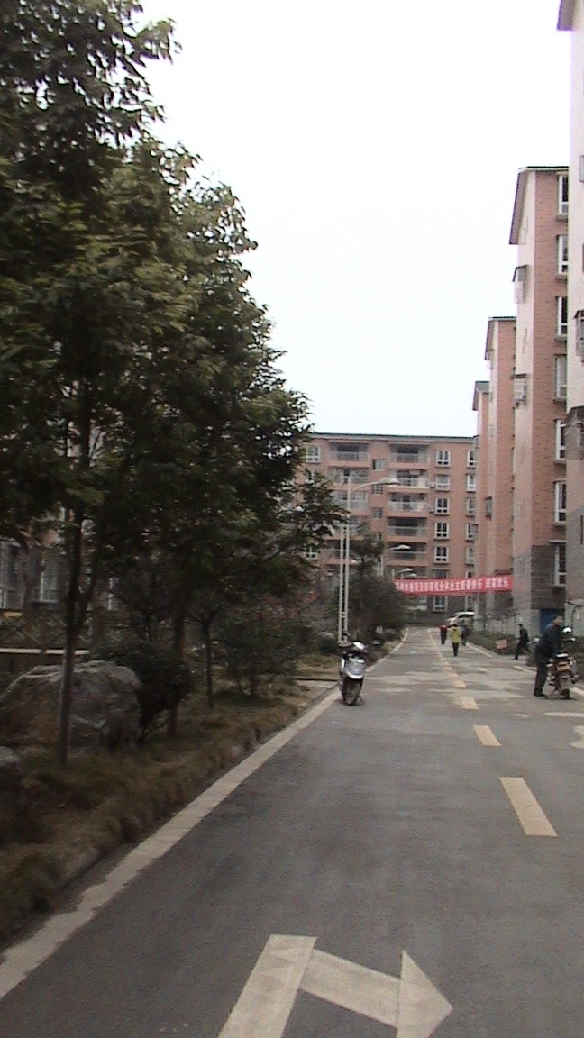 DSC00643.jpg