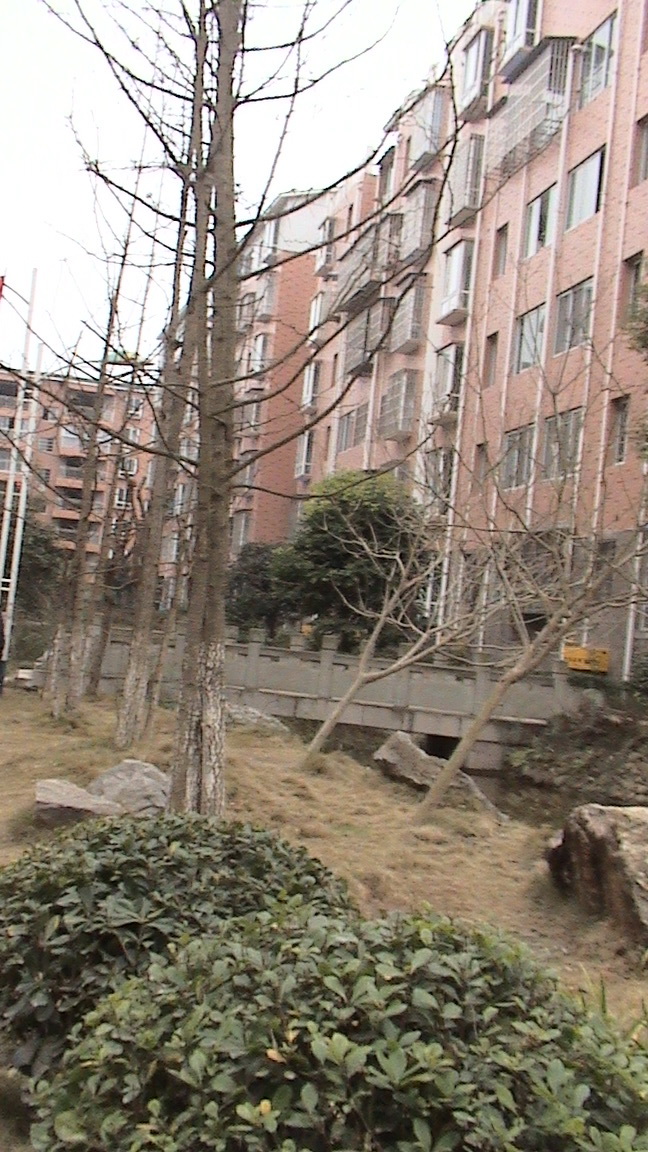 DSC00653.jpg