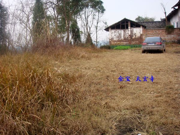 DSC09055.JPG