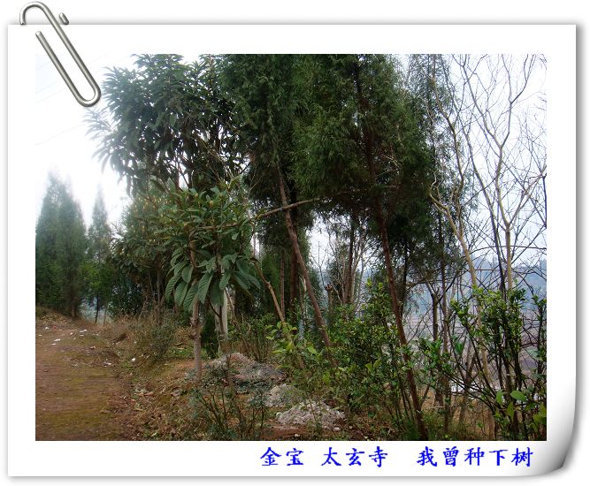 DSC09061.JPG