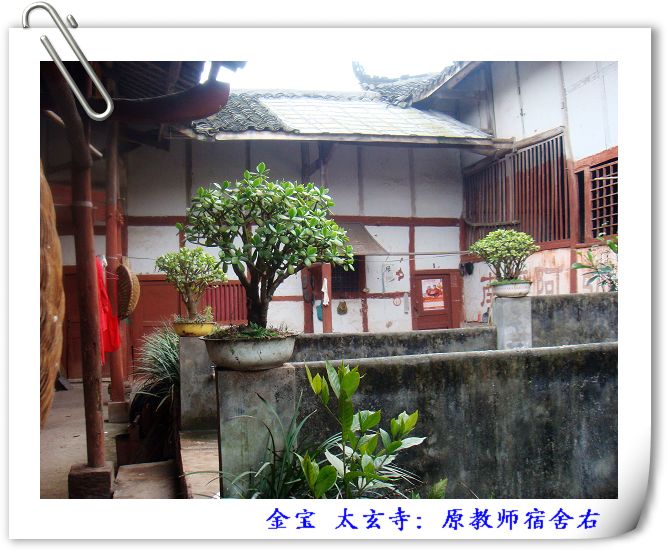 DSC09068.JPG
