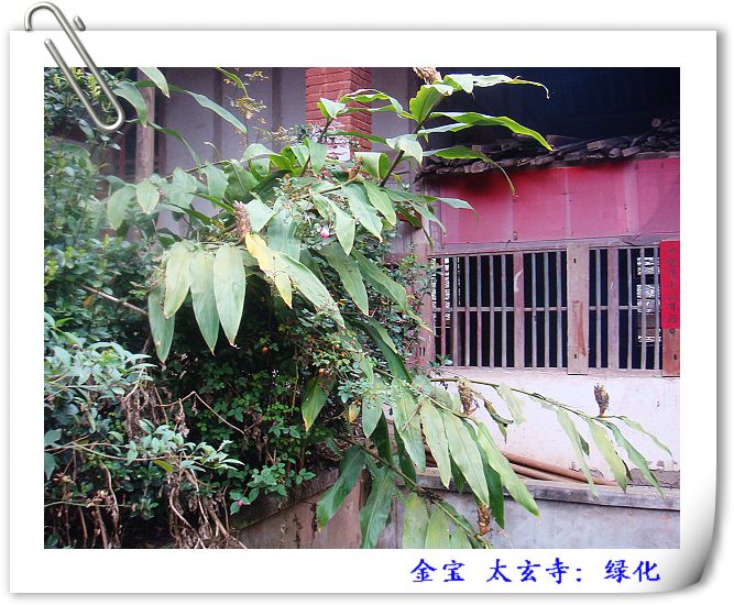 DSC09096.JPG
