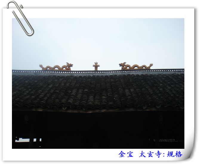 DSC09101.JPG