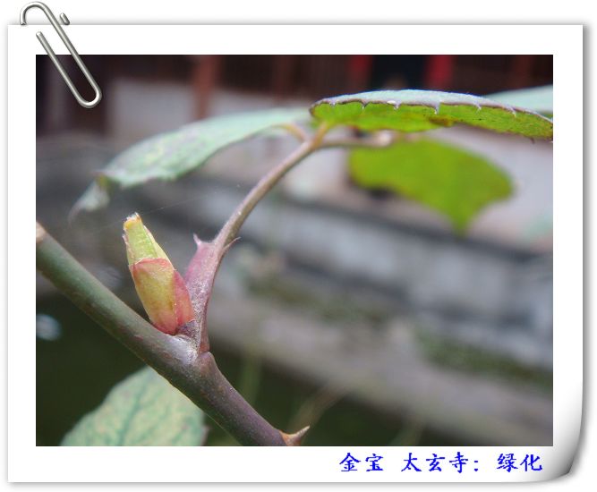 DSC09121.JPG