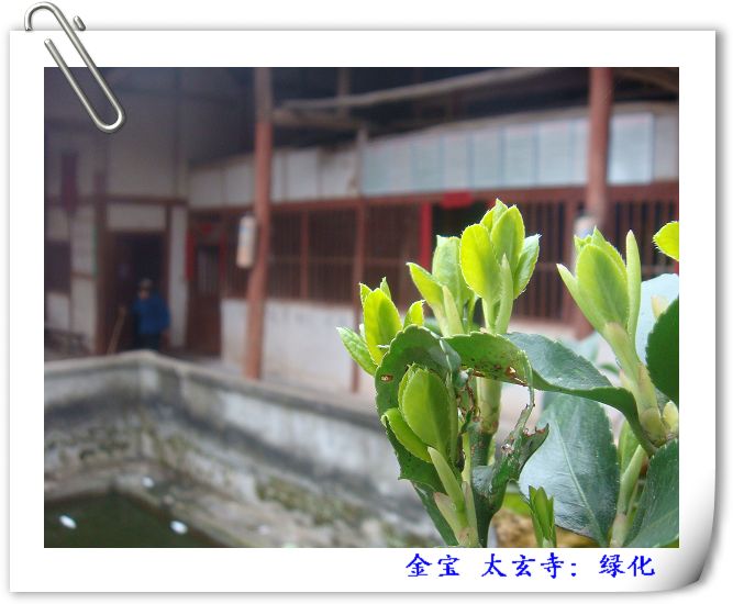 DSC09120.JPG