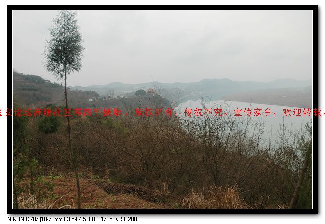 2010219̽ʯͷ 053.jpg