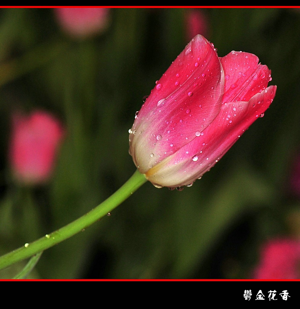 DSC_2596__conew1.jpg