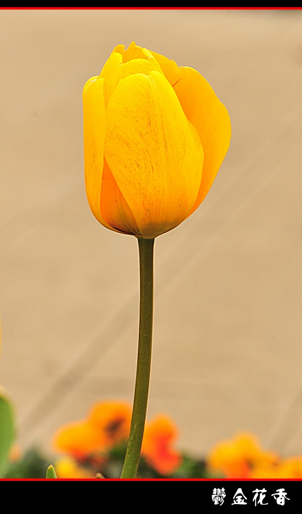 DSC_2644__conew1.jpg