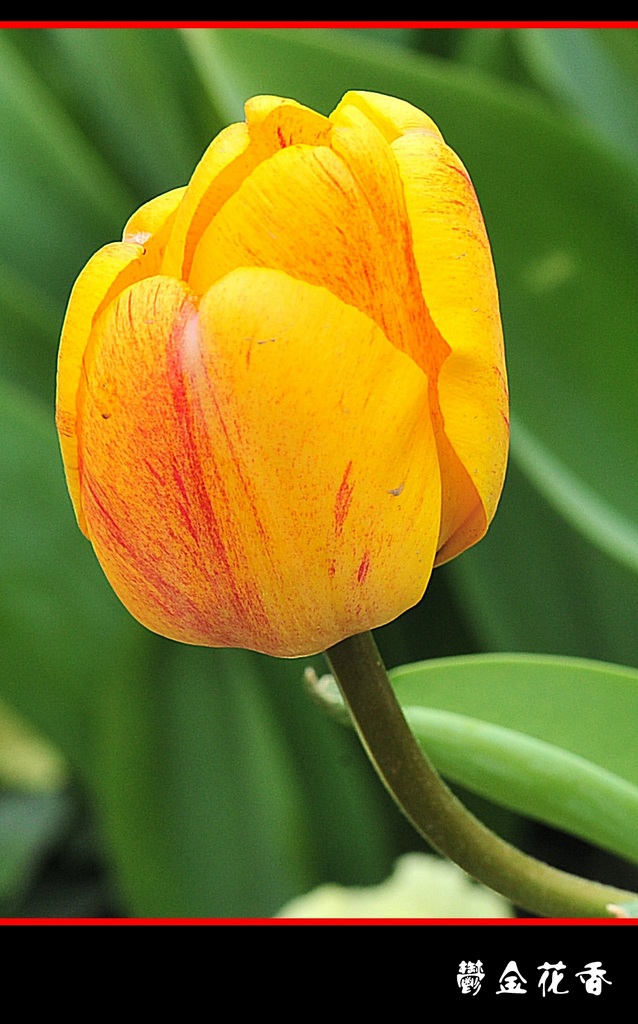 DSC_2763__conew1.jpg